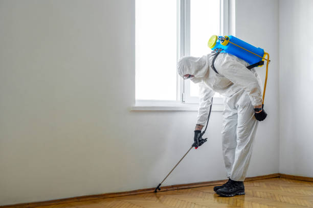 Best Affordable Exterminators  in Mason City, IL