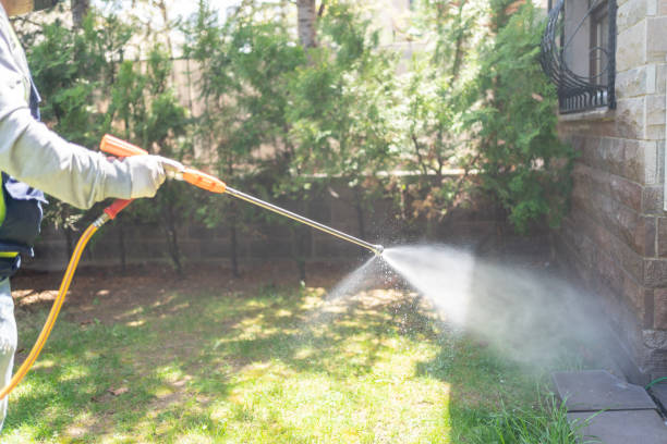 Best Exterminator Services  in Mason City, IL