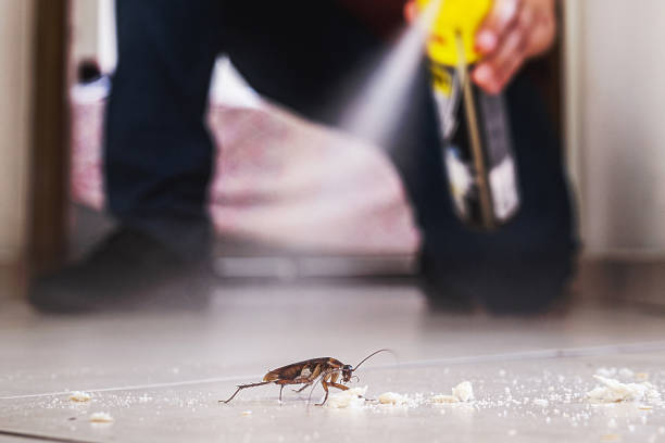 Best Affordable Pest Control Services  in Mason City, IL