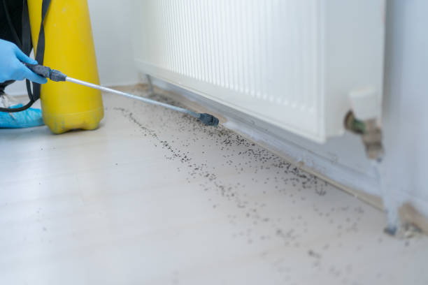 Best Pest Removal Services  in Mason City, IL